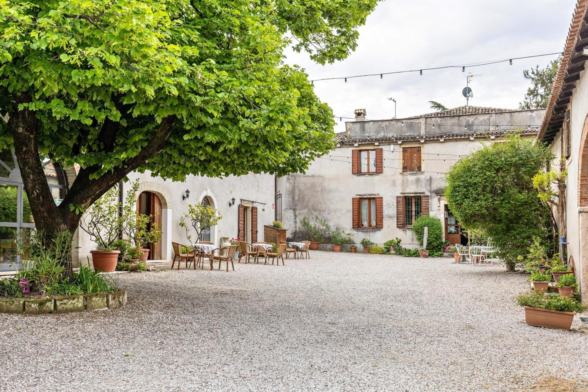 Agriturismo Della Pieve Bardolino Exterior foto